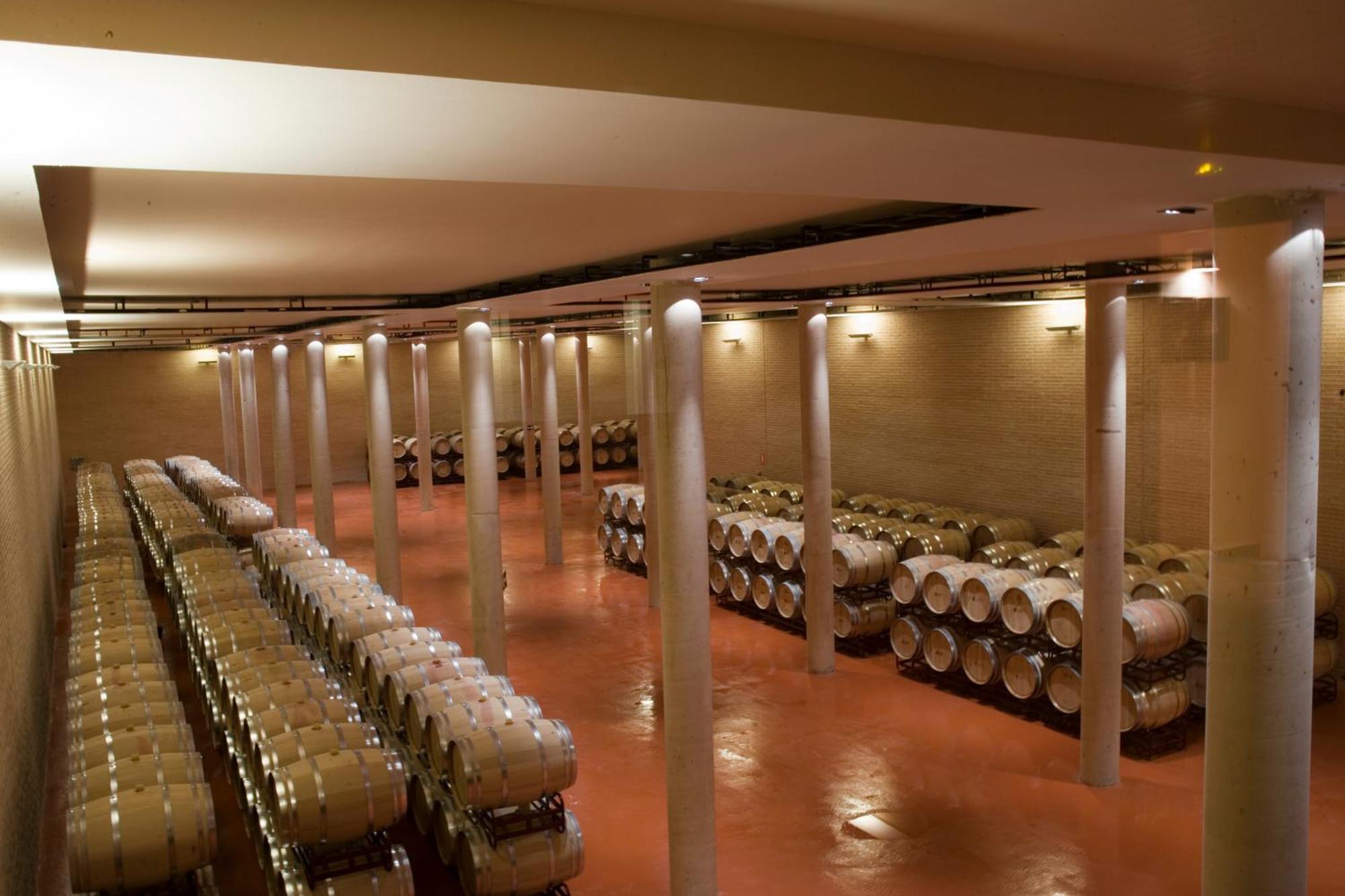 Bodegas Hacienda Albae Konuk evi Argamasilla de Alba Dış mekan fotoğraf