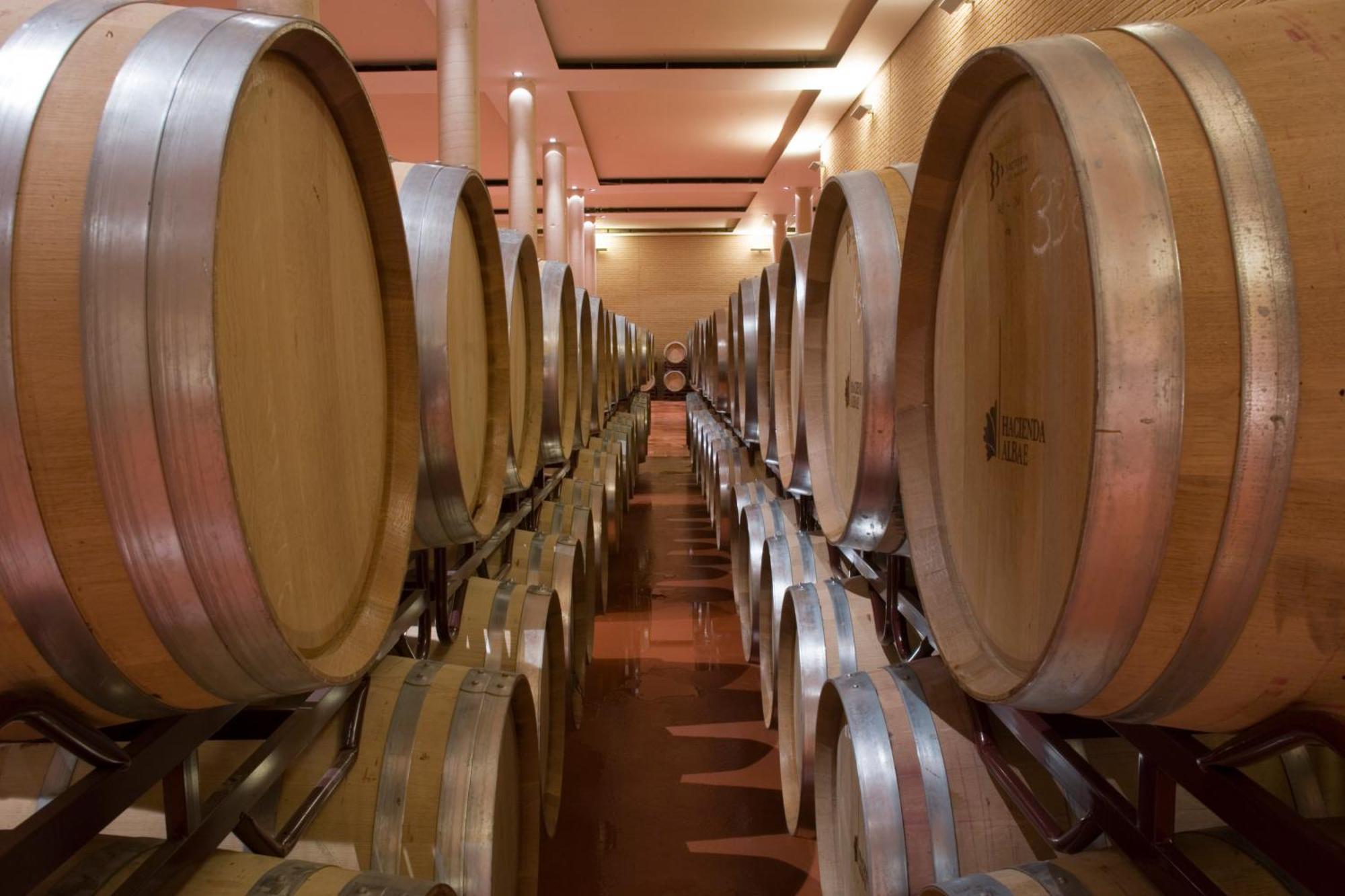 Bodegas Hacienda Albae Konuk evi Argamasilla de Alba Dış mekan fotoğraf